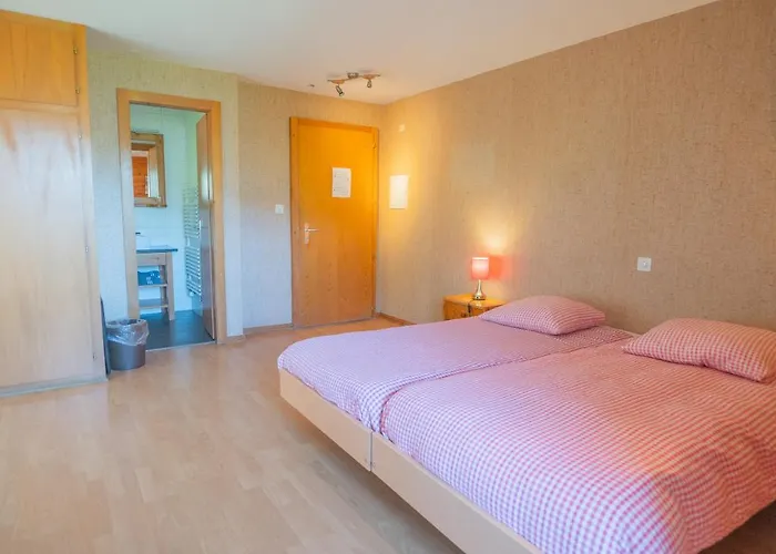 酒店 罗杰山酒店 3*